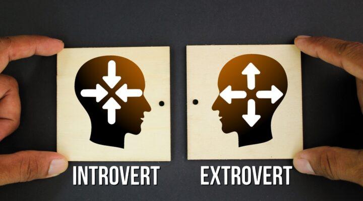 Extraverze a introverze