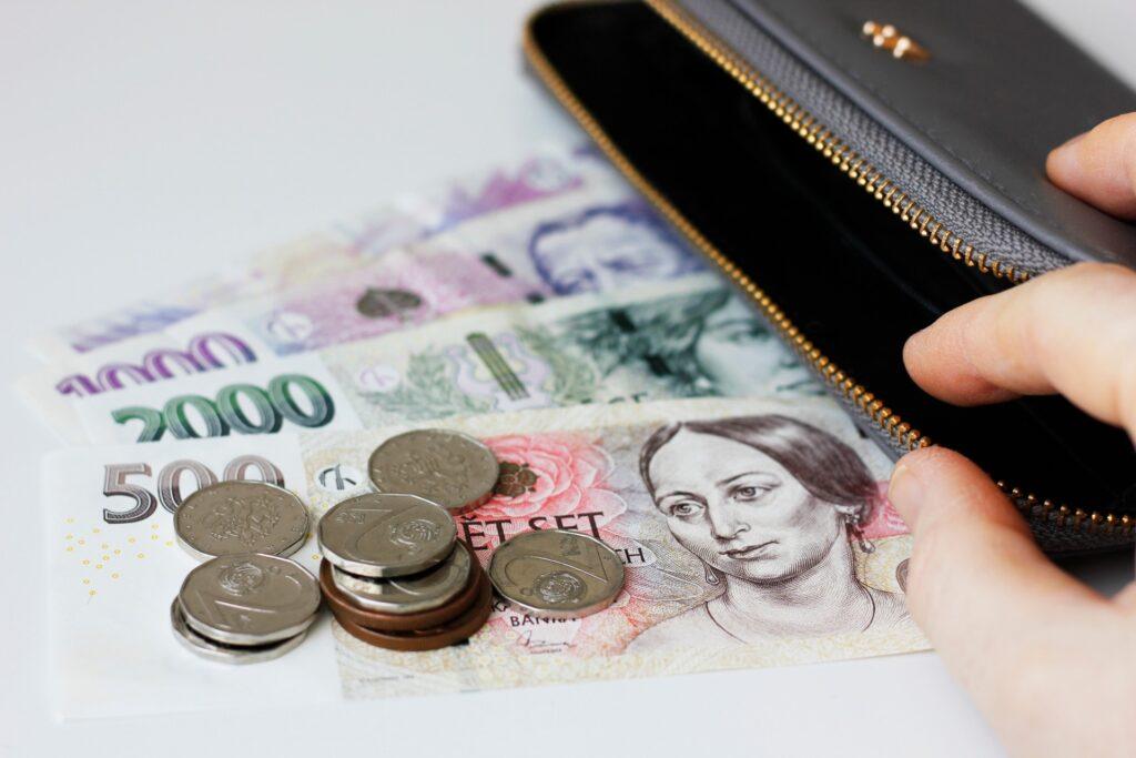 Soukromé financování nabízí okamžitou likviditu za cenu ztráty spotřebitelské ochrany.